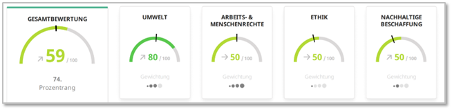 Fünf Bewertungsskalen zeigen Punktzahlen von 59 bis 80 in verschiedenen Kategorien.
