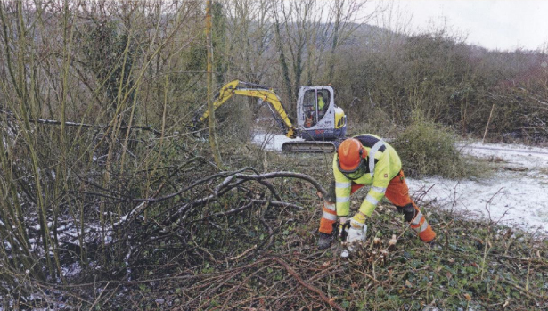 Ein Arbeiter in Schutzkleidung schneidet Äste, während ein Bagger im Hintergrund arbeitet.